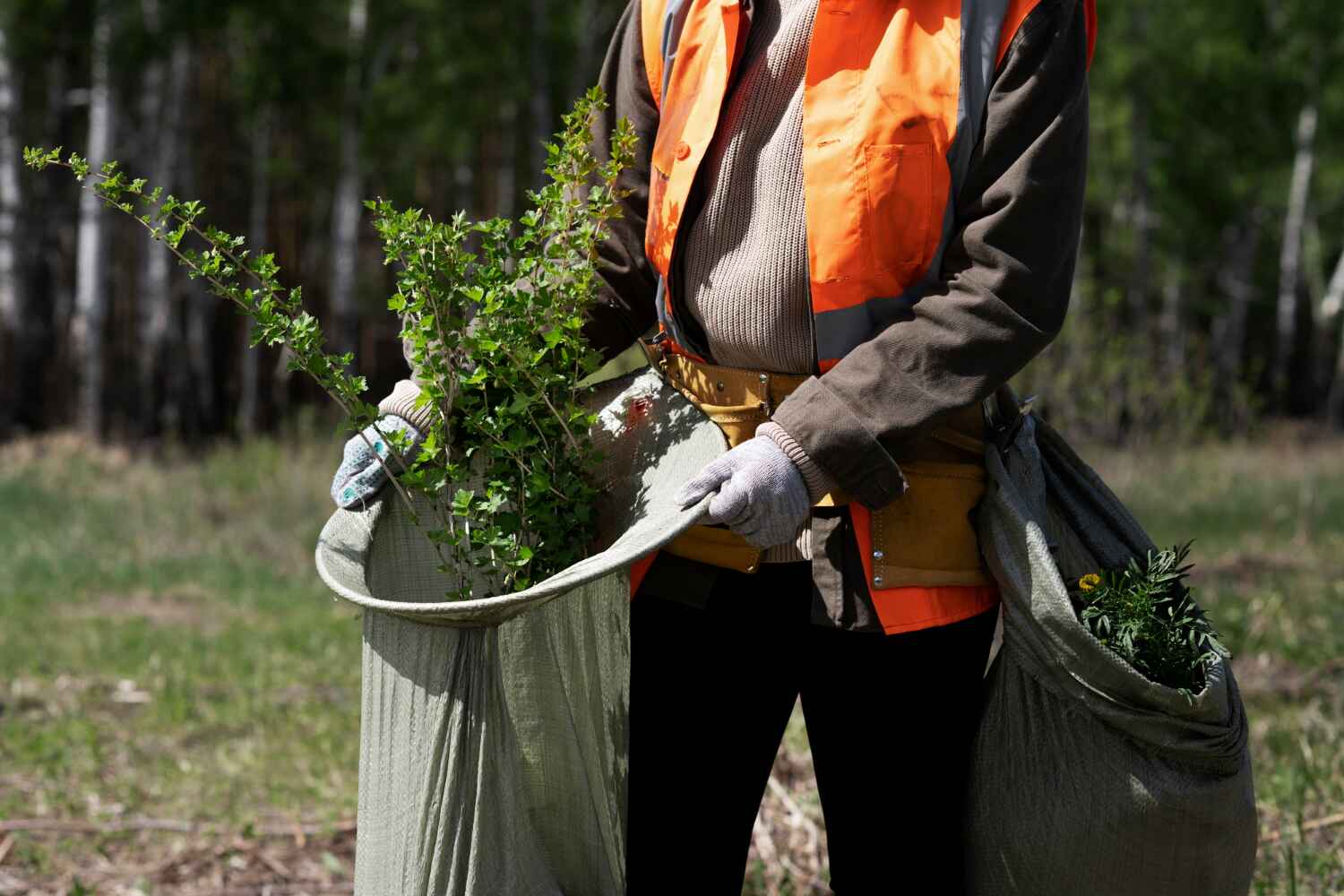 Best Affordable Tree Service  in Byrnes Mill, MO